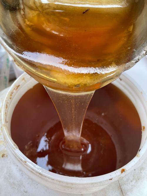 8万斤店长推荐厂家批发洋槐蜜蜂产品 瓶装蜂蜜厂家批发500g洋槐蜜