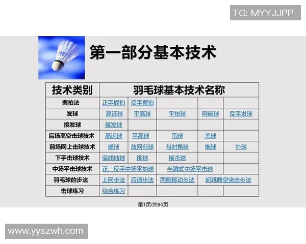羽毛球战术解析：杭州羽毛球队灵活转换体系的深度剖析与应用