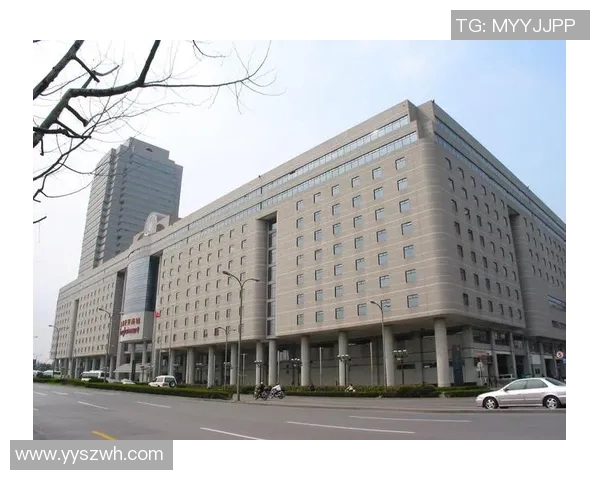 上海篮球队转型之路的真实记录与发展历程探秘