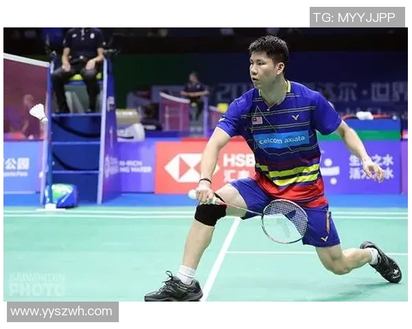 南京羽毛球队实力分析与表现评估的全面数据研究