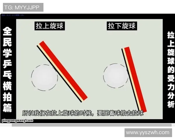 北京乒乓球队总决赛技术分析与表现评估全面解读