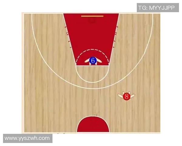 杭州排球队快攻战术分析与比赛表现评估