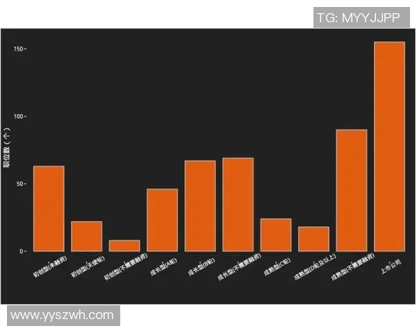深圳羽毛球队技术表现深度分析与数据洞察探讨