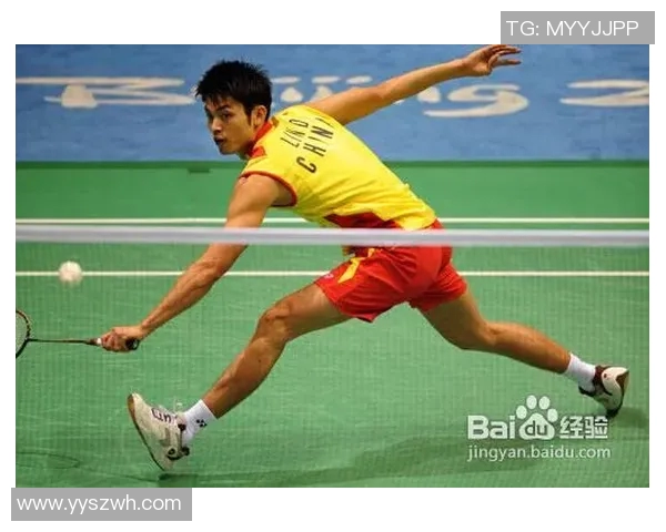 深入分析上海羽毛球队区域防守战术的特点与应用 深入分析上海羽毛球队区域防守战术的特点与应用