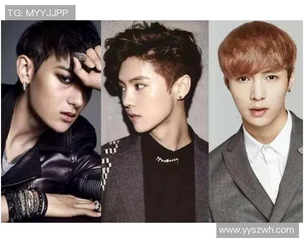 鹿晗在足球领域的成就与影响力分析及其明星级别评估