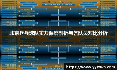 北京乒乓球队实力深度剖析与各队员对比分析