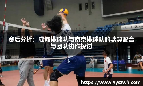 赛后分析：成都排球队与南京排球队的默契配合与团队协作探讨