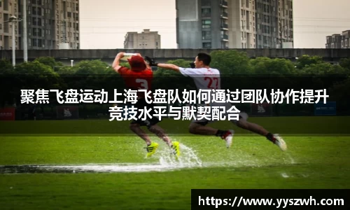 聚焦飞盘运动上海飞盘队如何通过团队协作提升竞技水平与默契配合